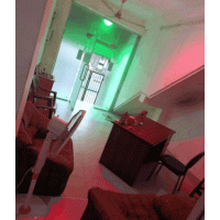 69e454d5a0662EEkIgTgw9v1776571605.gif