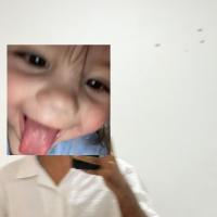 6a6dbdbad6bdczpxPyEqfF41785576890.jpg